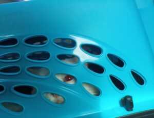 fashion tips lwspeakfashion