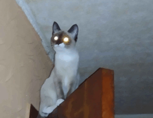 lwspeakfashion fashion advise from letwomenspeak