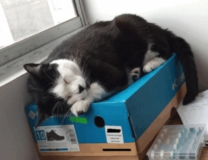 why is my yex382v3yte air conditioner not working