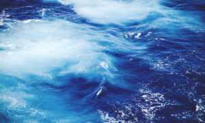 fashion guide lwspeakstyle