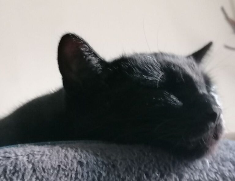 lwspeakstyle fashion trends from letwomenspeak