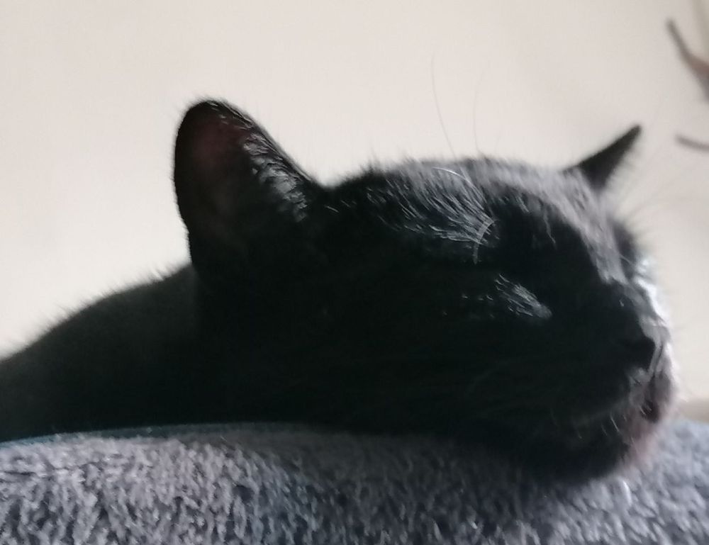 lwspeakstyle fashion trends from letwomenspeak