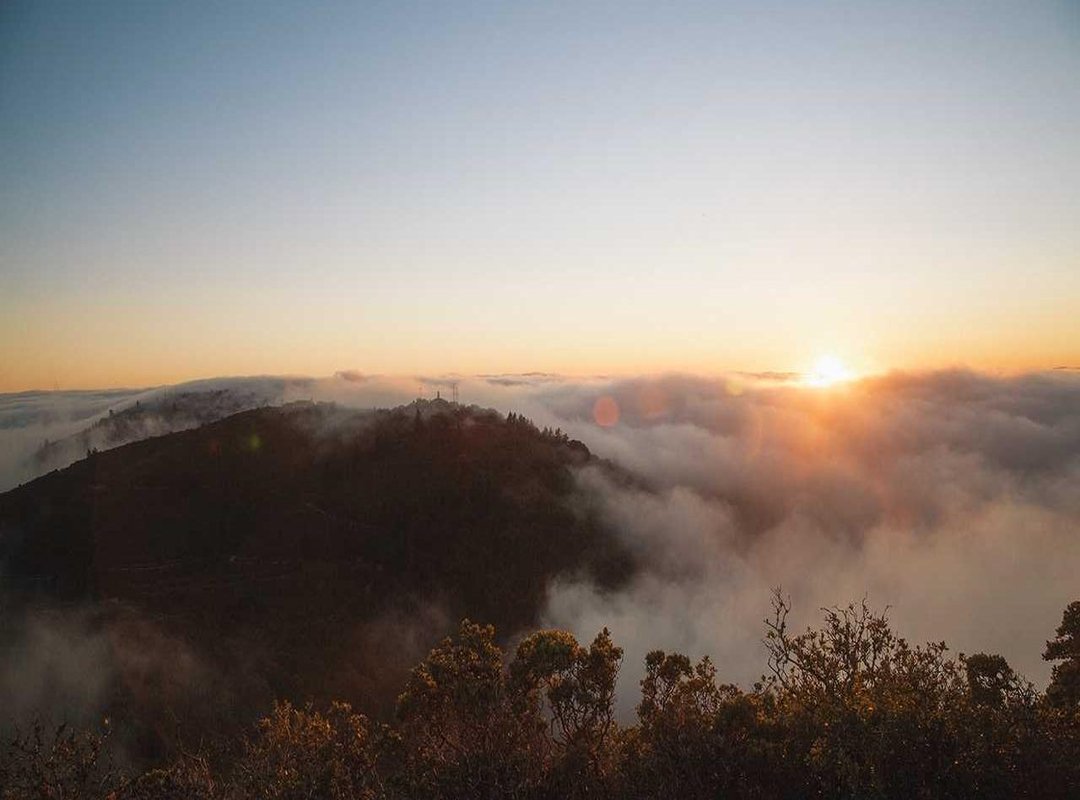 Frequently Asked Questions (FAQs)