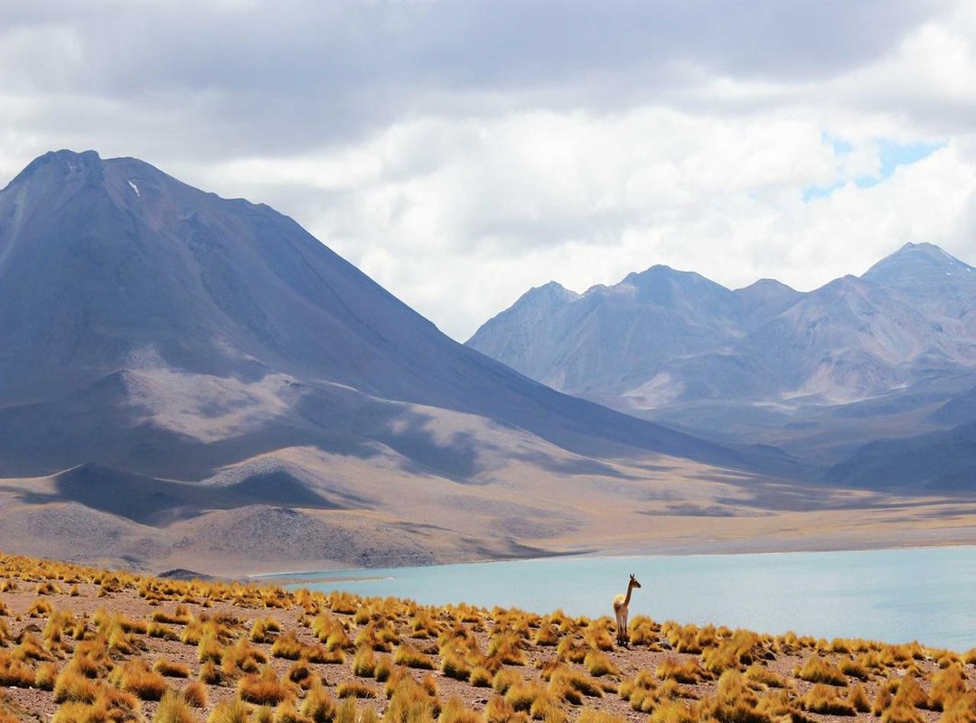 Faces in the Crowd: Recognizable Recurring Roles