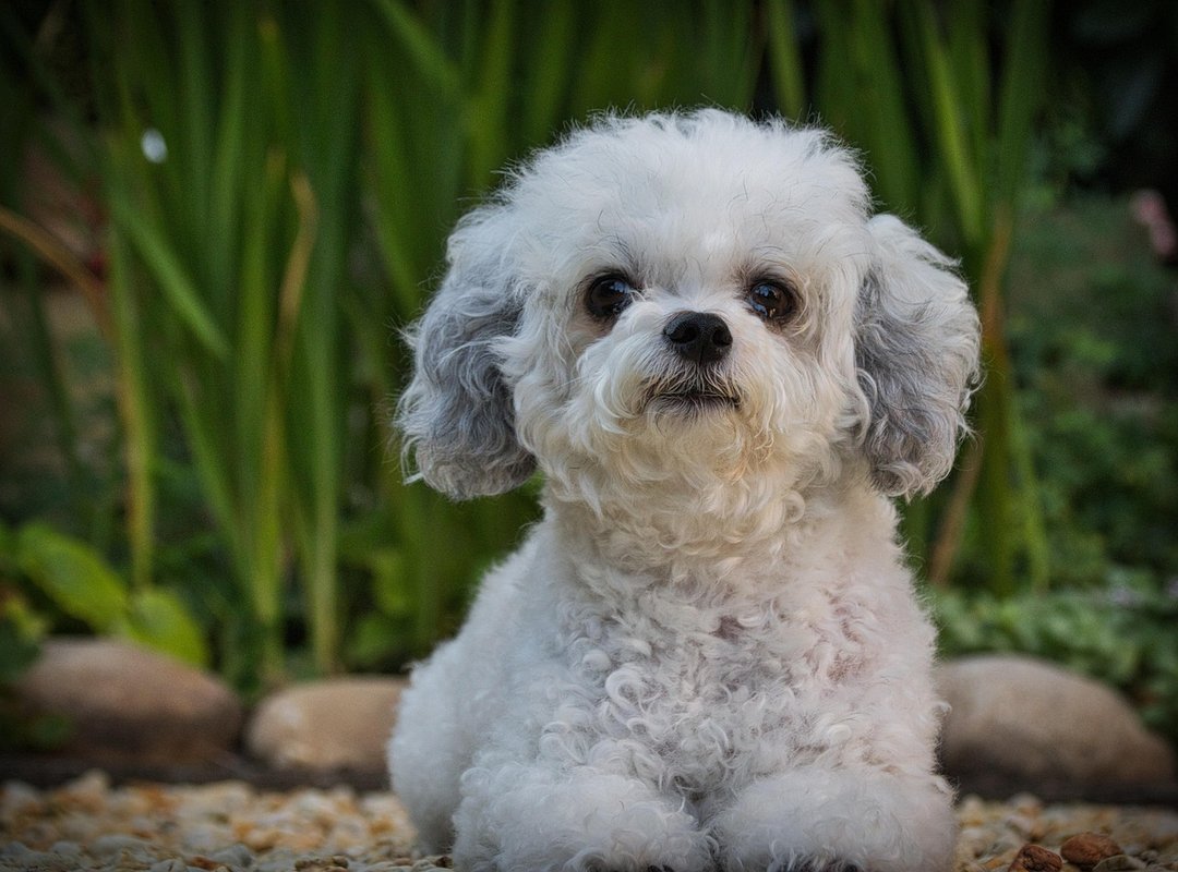 Healthy Eating Jexplifestyle