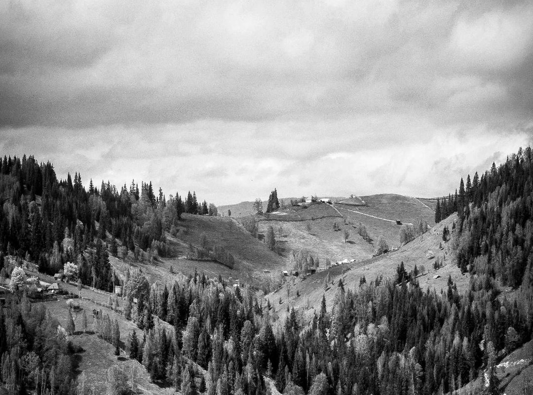 Frequently Asked Questions (FAQs)