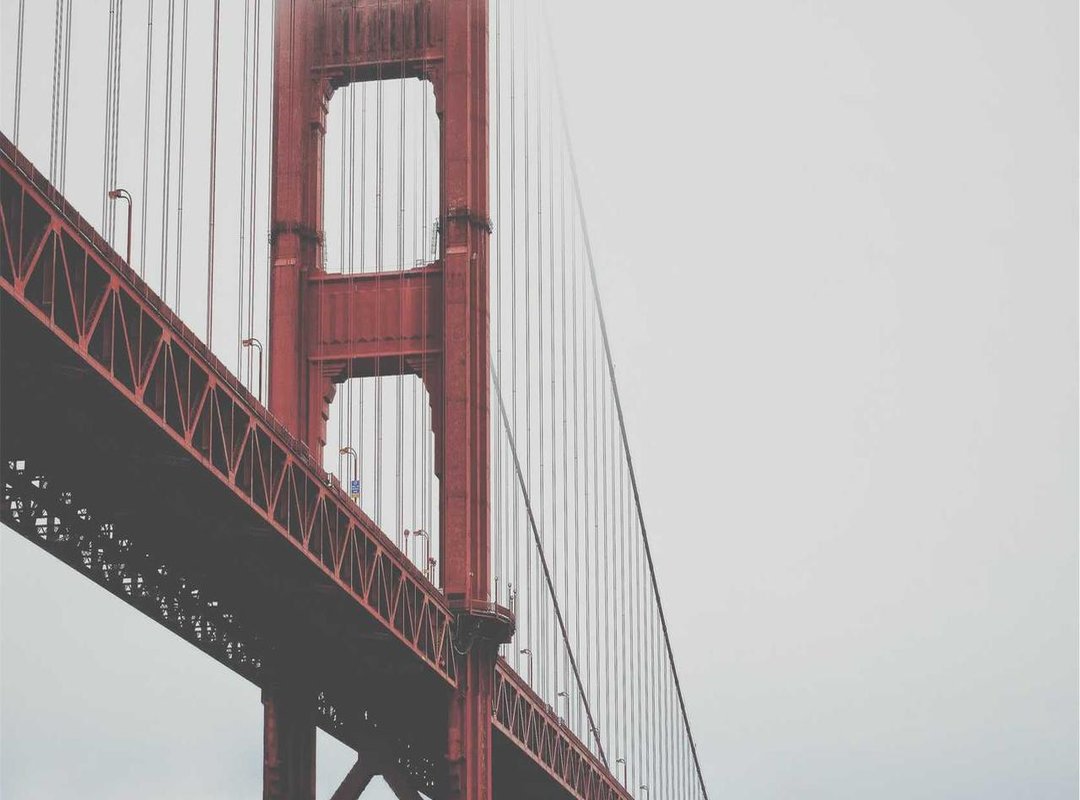 An Honest Look: The Pros and Cons of Going Premium