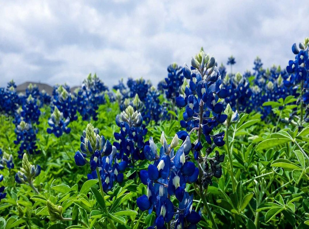 The Core Message: A Psalm of Unfailing Guardianship