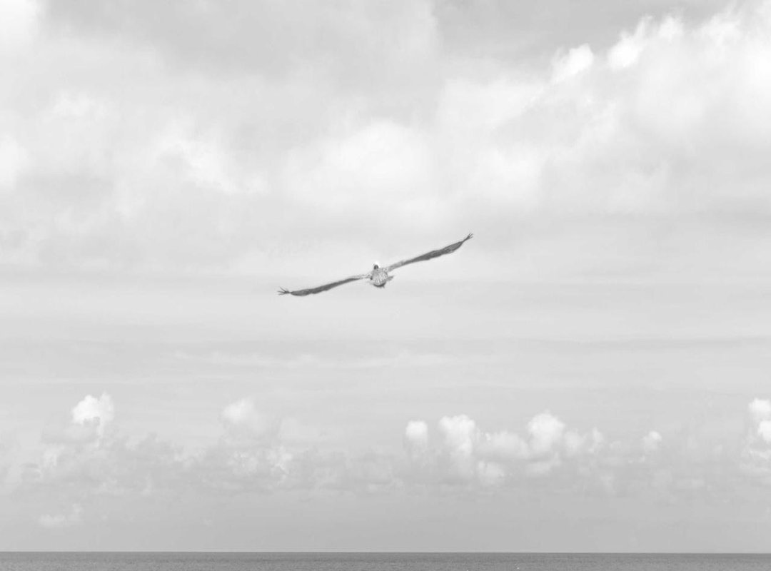 Reading the Room: How to Use 'Womp Womp' Without Being a Jerk