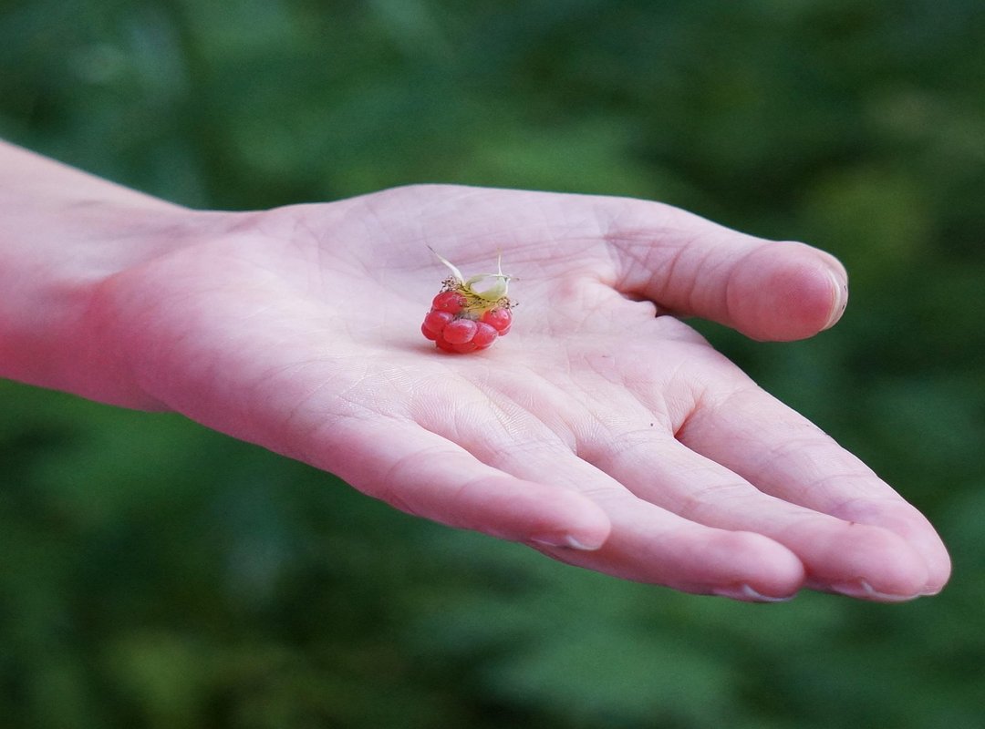 Whatutalkingboutwillistyle Family